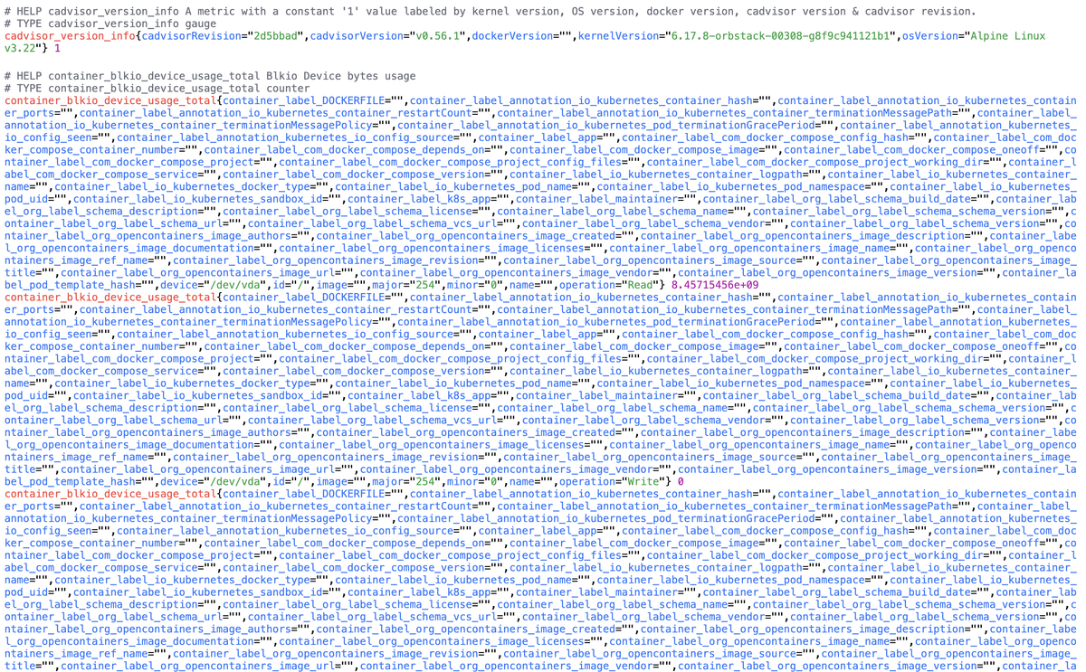 cAdvisor raw Prometheus-format metrics in the browser