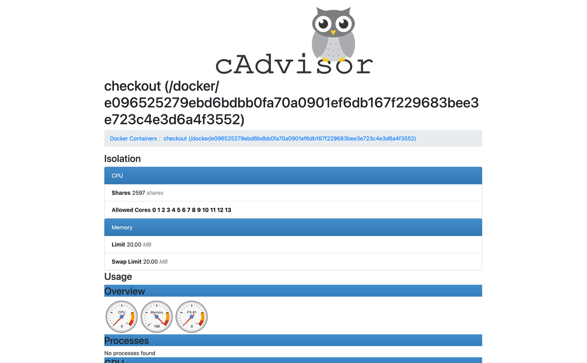 cAdvisor web user interface showing Docker containers