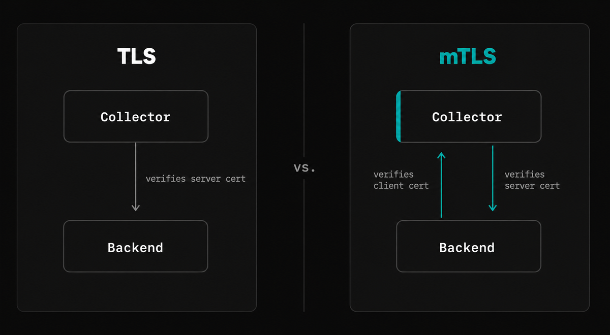 TLS vs mTLS
