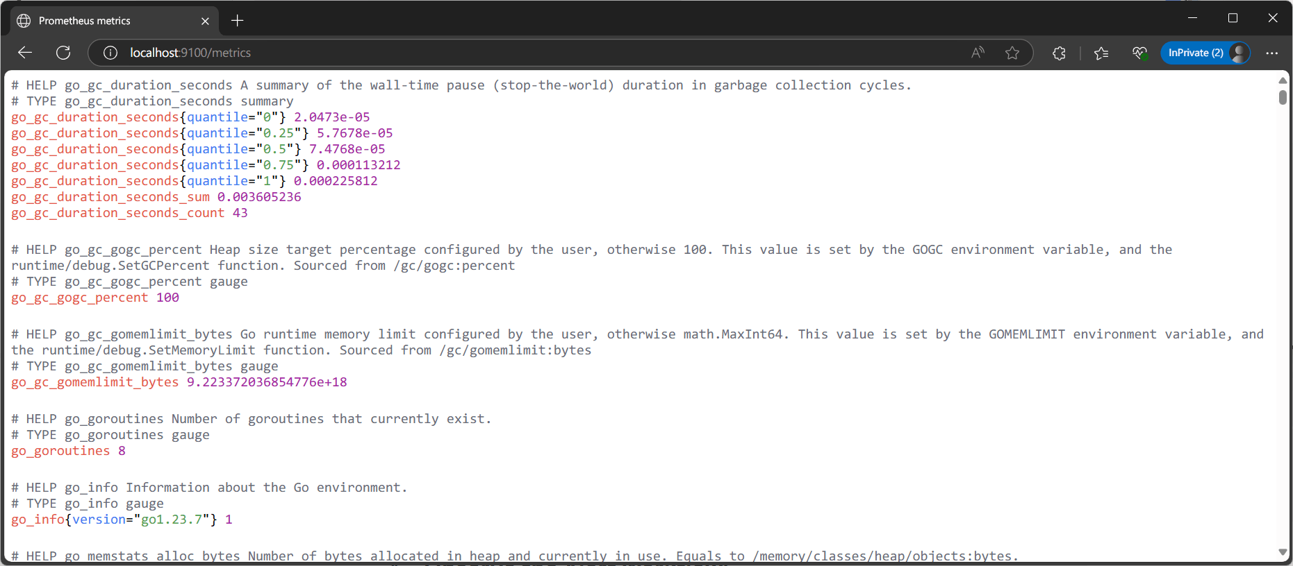 Screenshot of /metrics endoint in the browser