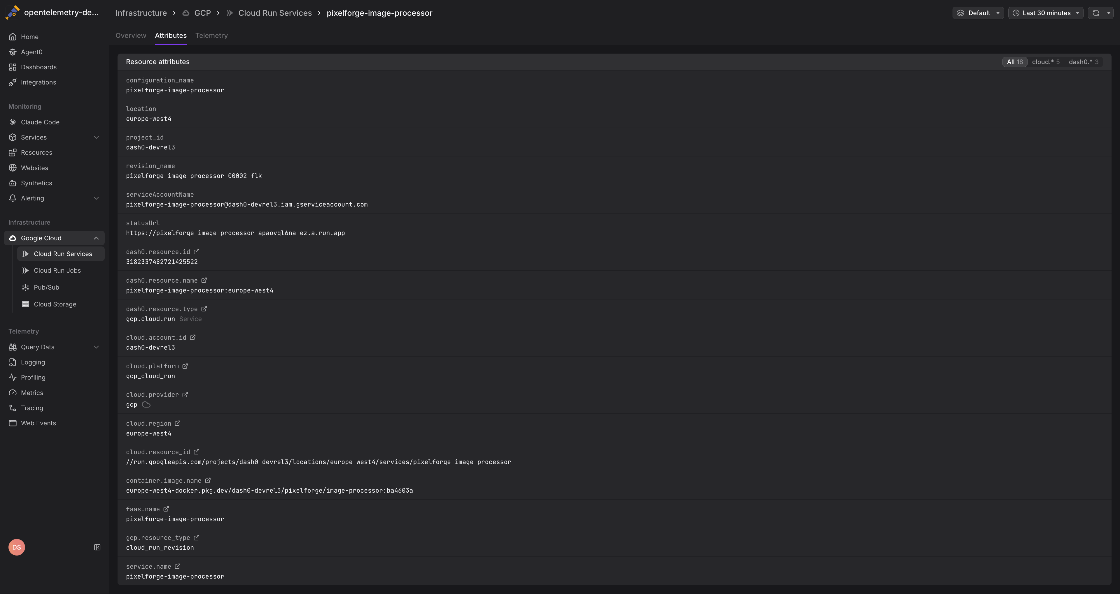 Cloud Run service attributes showing resource metadata