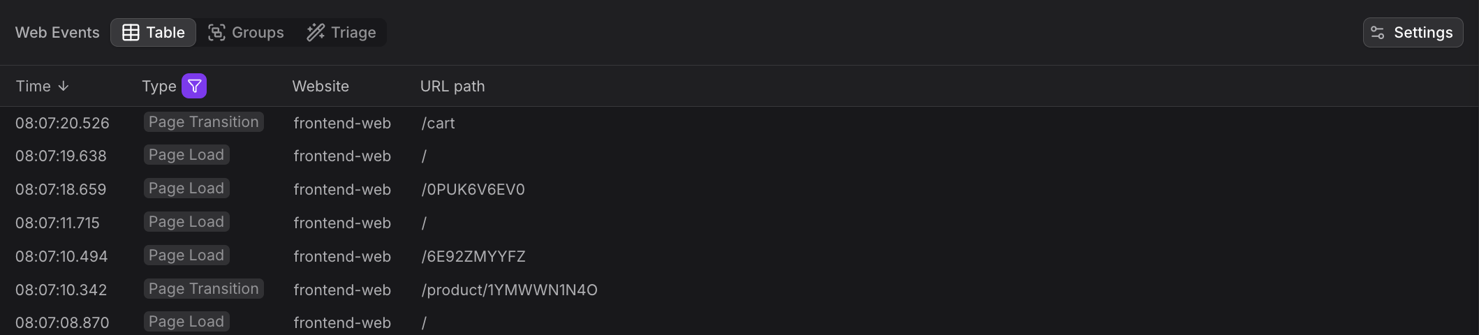Page Views table displaying individual navigation events with type badges, timestamps, and URL paths