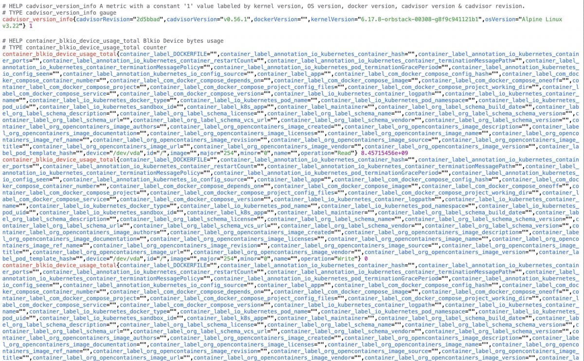 cAdvisor raw Prometheus-format metrics in the browser