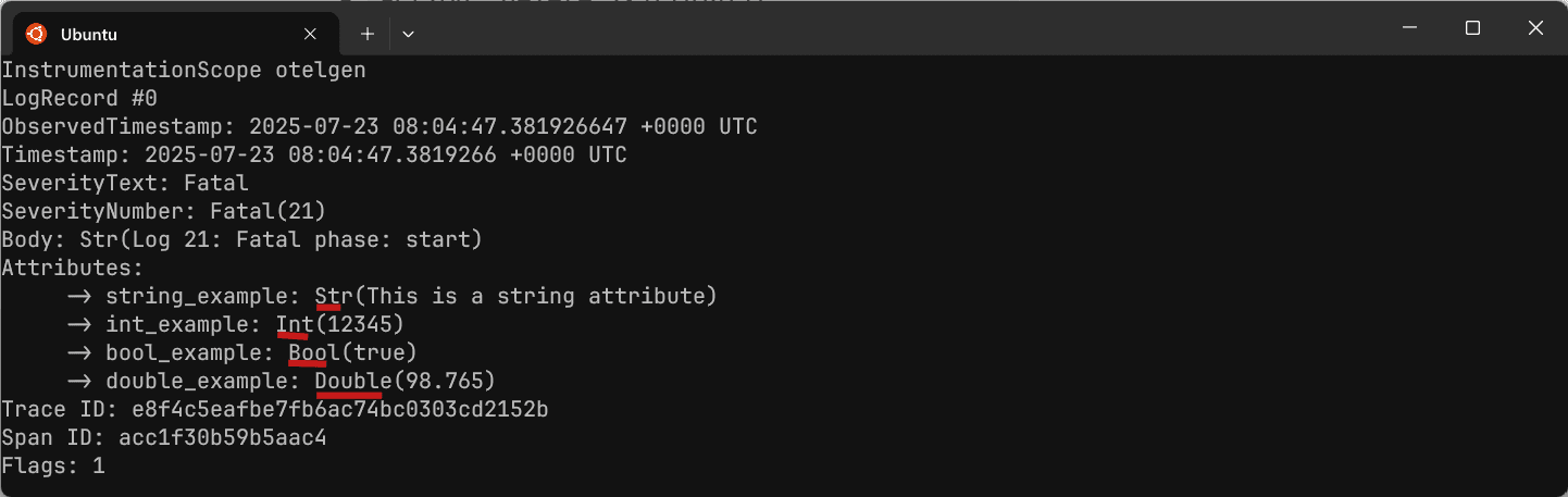Screenshot of attribute types in debug exporter