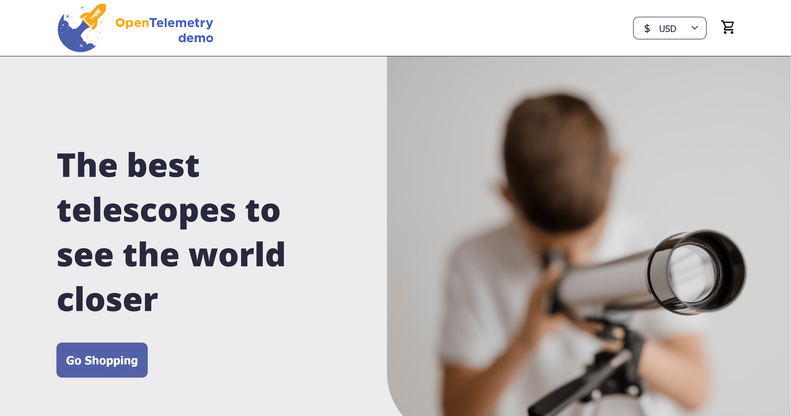 The OpenTelemetry Demo Application